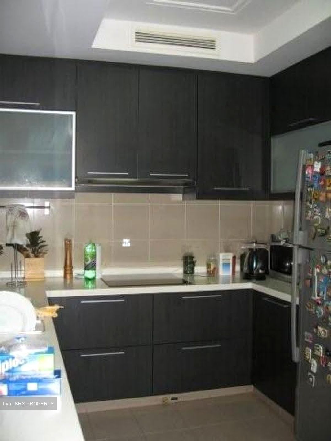 Valley Park (D10), Condominium #629831421